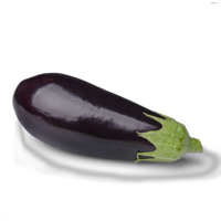 Aubergine