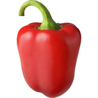 Paprika rood